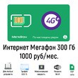 Интернет Мегафон 300 Гб