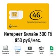 Интернет Билайн 300 Гб